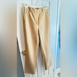 Aritzia Babaton command leather pants in excellent condition.